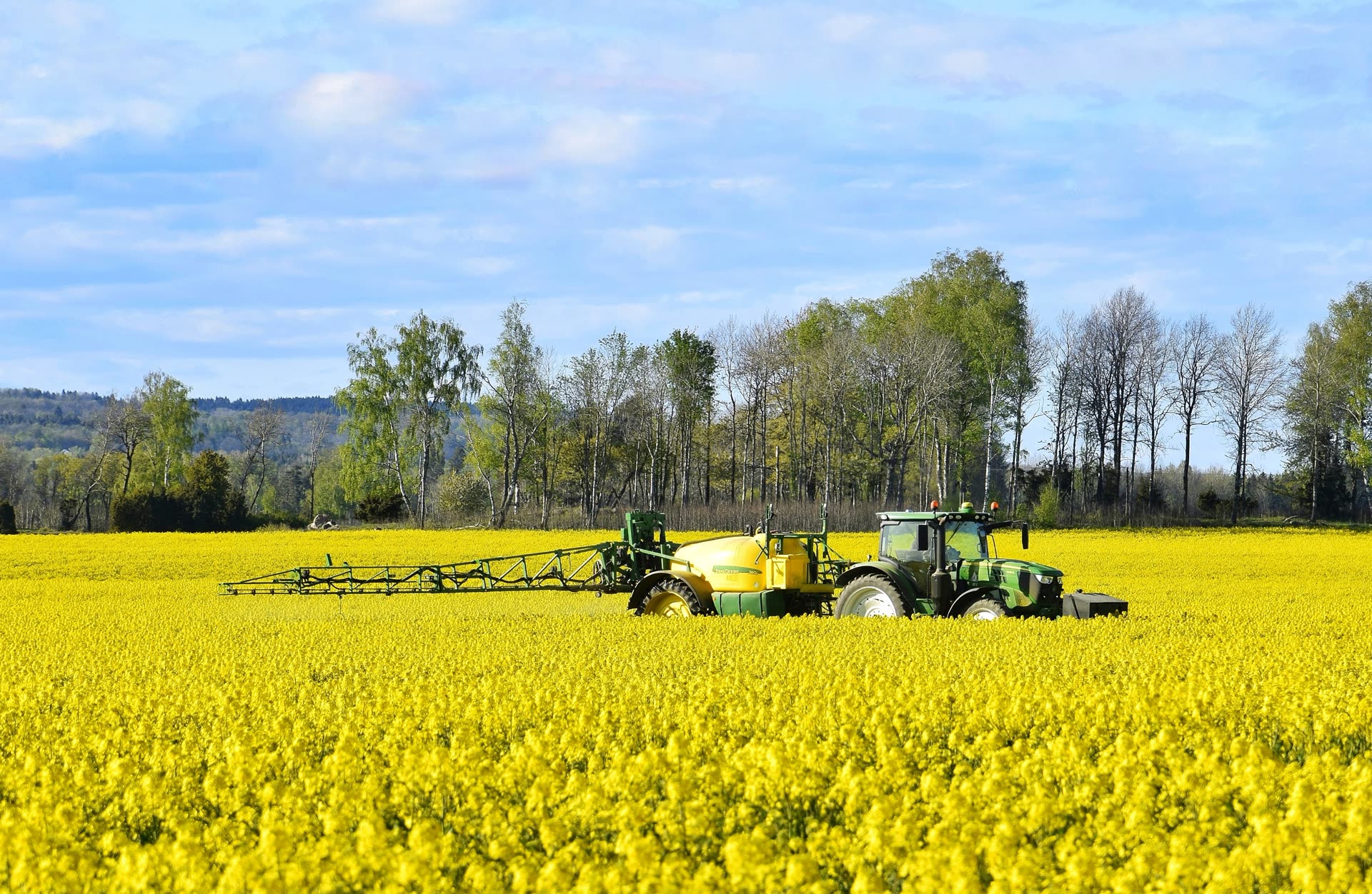 Sector agroalimentario